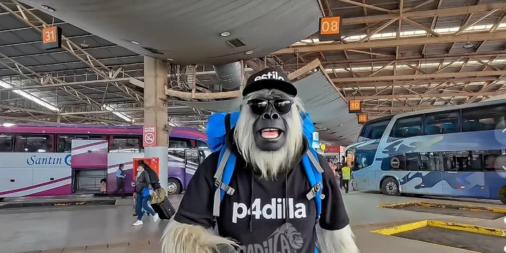 Yeti 11