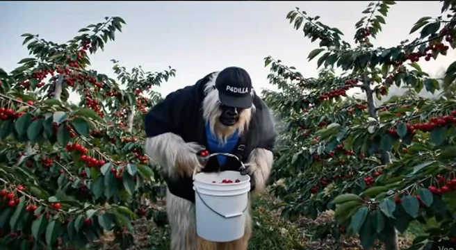Yeti 23