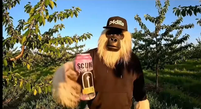 Yeti 35
